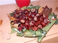 konkurs_jesien (20)